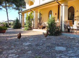 Poggio ai Santi, San Vincenzo