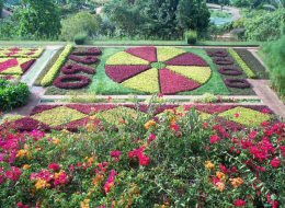 Madeira_botanische_tuin
