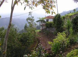 Madeira_Faial